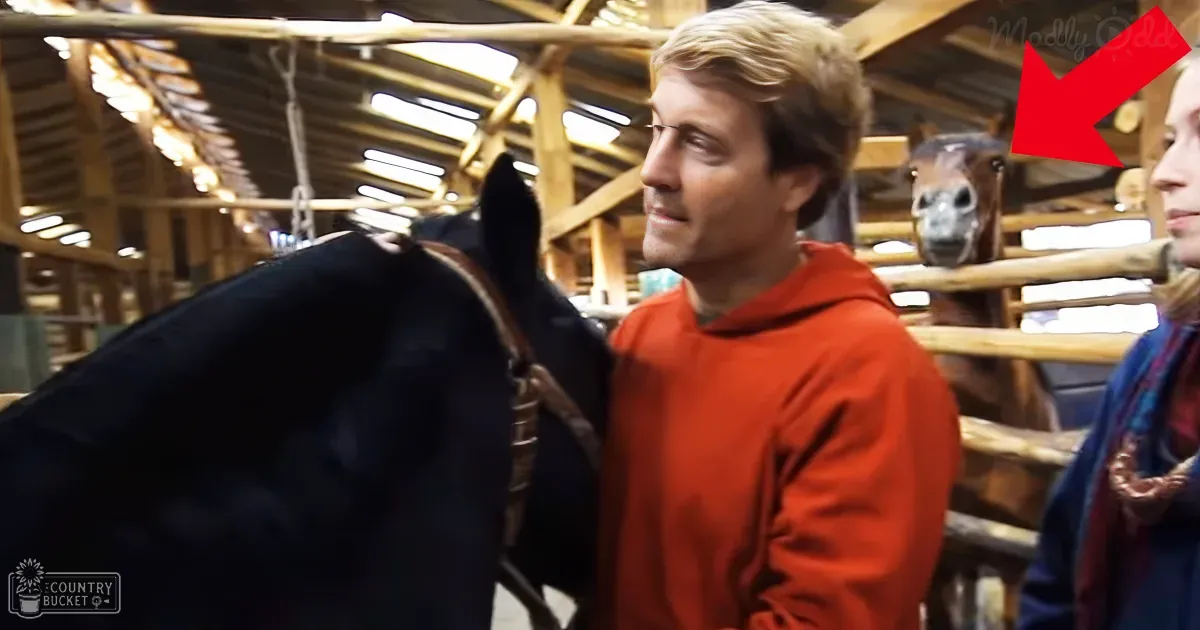 A man in an orange hoodie stands next to a black horse in a barn, with another horse in the background.