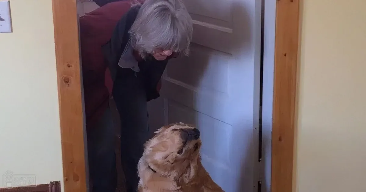 92 Year-Old Widow Gets a New Best Friend When Her Neighbors Adopt a St. Bernard Puppy
