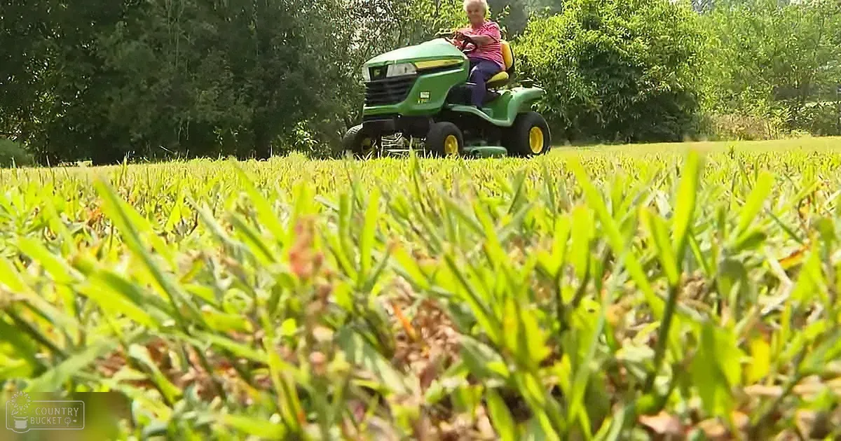 A person rides a green lawn mower across a grassy field with trees in the background.