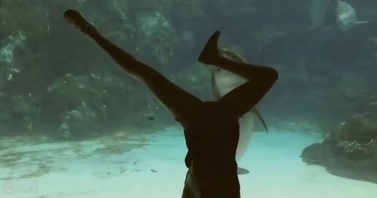 Sweetest Ad From Children's Toy Maker Reminds Us That Orcas Belong in the Ocean Not Captivity
