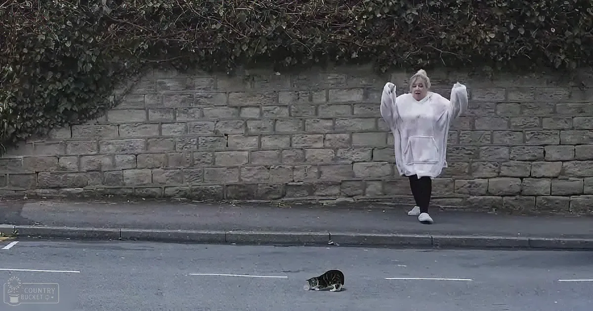 A person in a white fluffy outfit stands on a street, arms raised, with a cat lying on the ground nearby.