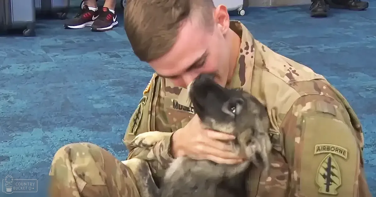 A soldier in uniform is affectionately holding and kissing a small dog.