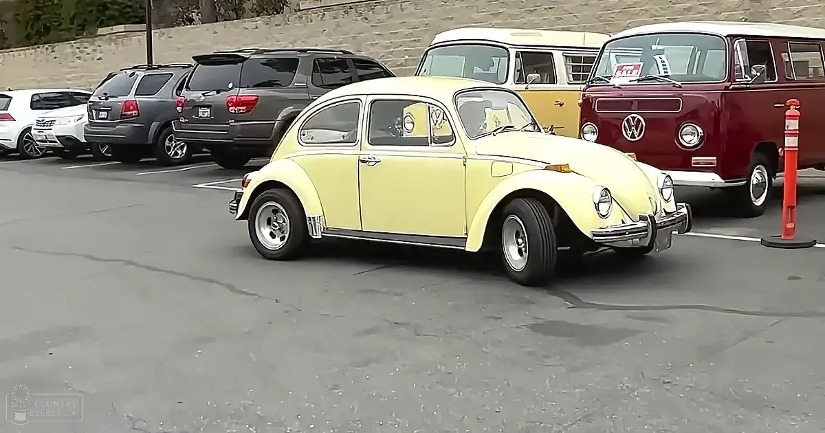 A vintage yellow Volkswagen Beetle is parked in a lot, surrounded by modern cars and another VW bus.