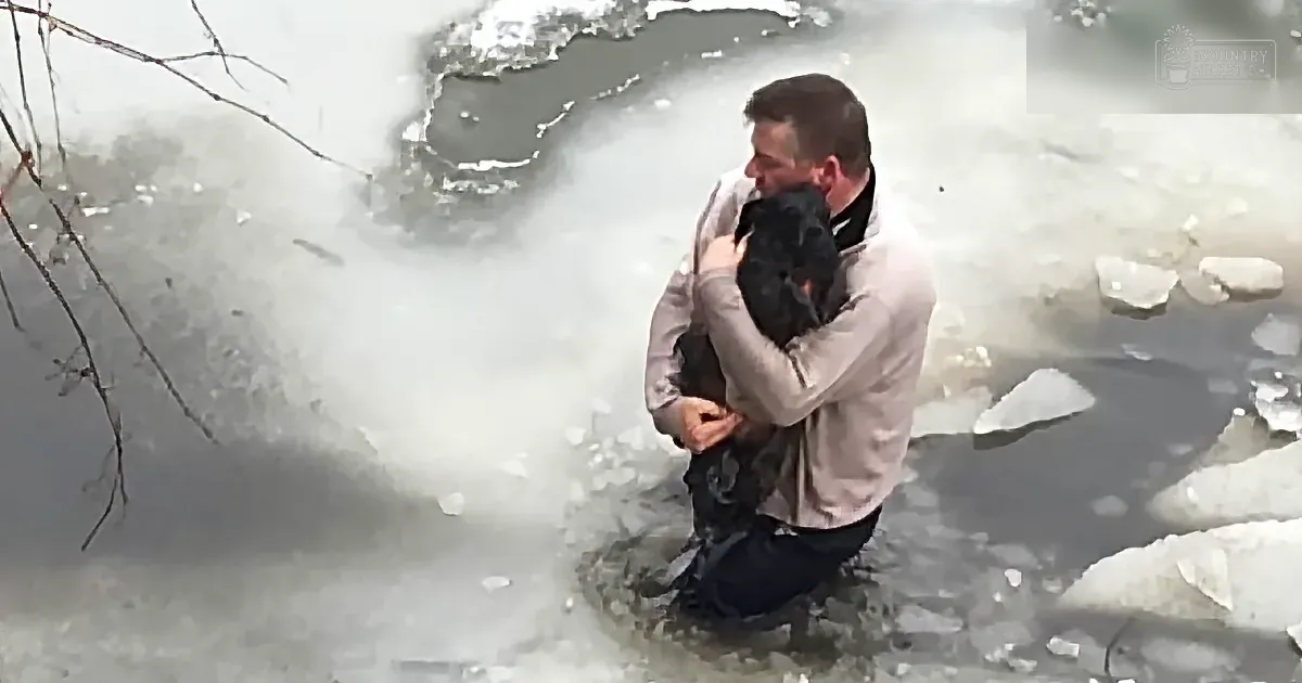 WKBW News Footage of Dan Chatten Saving A Dog